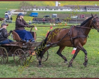 1POSIEUX 0442